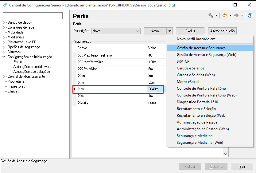 20542 Java Heap Space no Monitoramento de Acesso. Senior